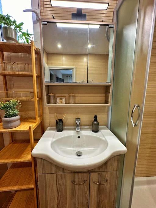 Filoxenia City Apartment 扎金索斯镇 外观 照片